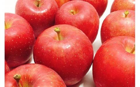 【2025年10月発送】 早生 ふじ 【特選】 約 5kg りんご 青森 産