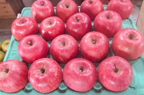 【ANA限定】【2025年12月下旬発送】 【訳あり】 りんご 約5kg サンふじ 〈樹上完熟〉 青森産