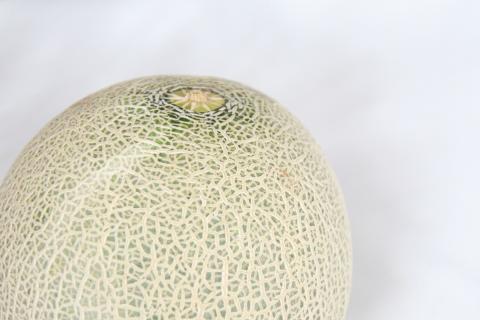 【2026年先行予約】【2026年8月前半発送】メロン 約 5kg 秀～優 7月 8月 ( 青肉 3～6玉 ）【 津軽産 青森 緑肉 】