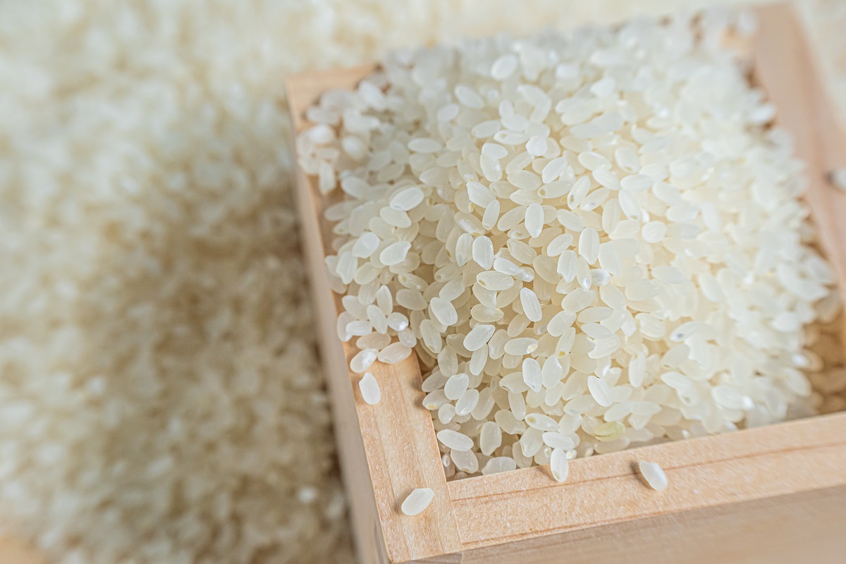 新米 米 5kg 新品種 はれわたり 特A 令和7年産米 精米 特A取得 青森県産米【白米お米晴れ渡り晴れわたりharewatari】