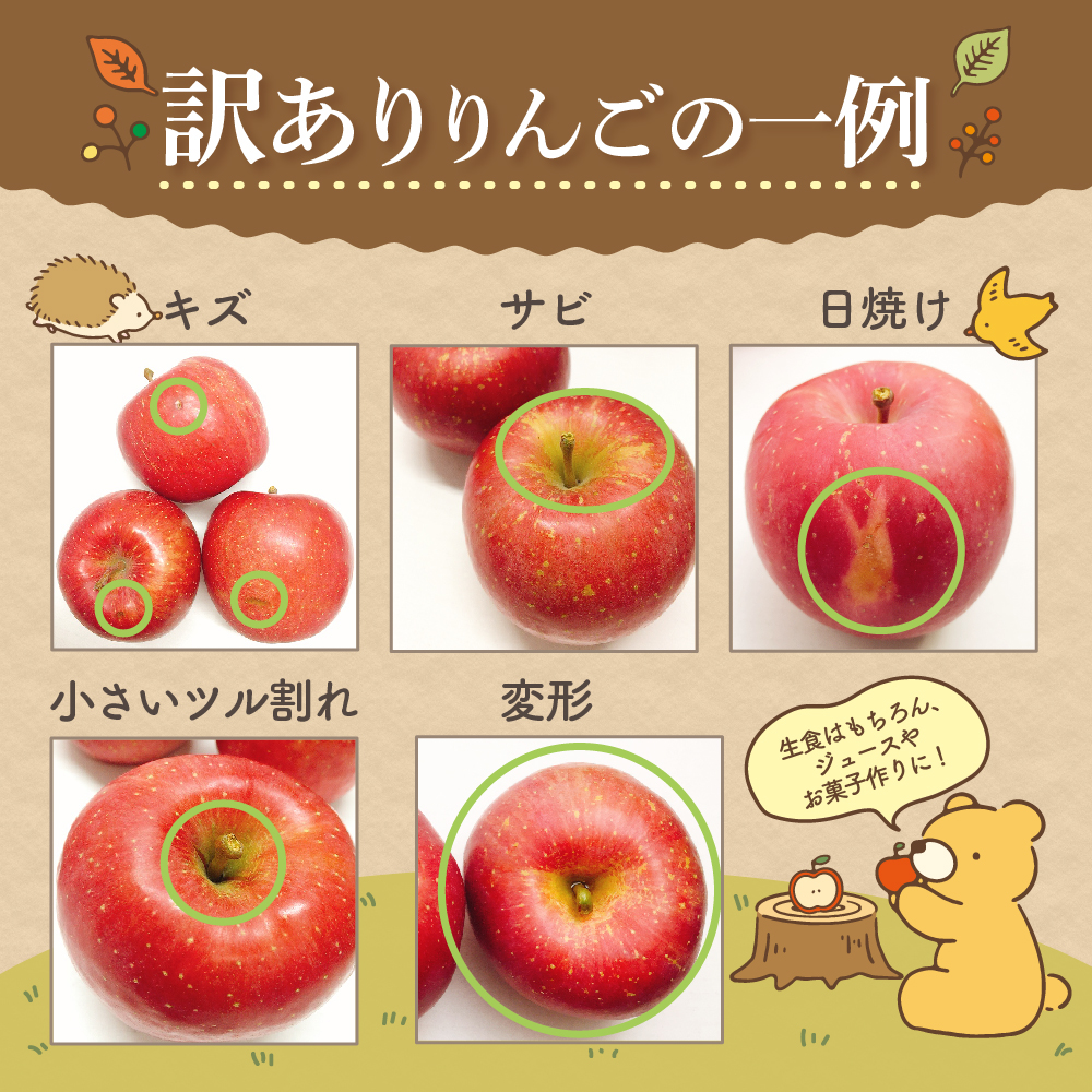 【2026年3月上旬発送】 【訳あり】 旬の美味しい りんご 約5kg 青森産 【おまかせ1品種】