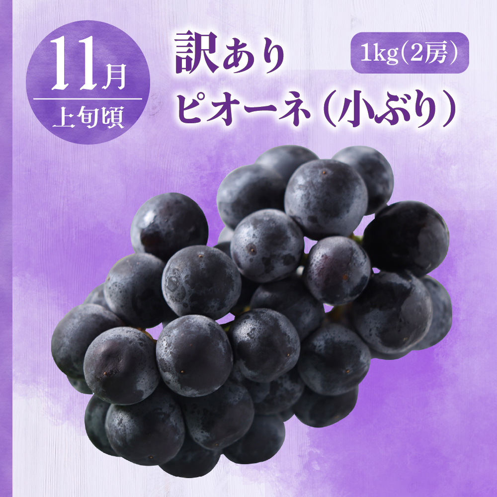 【7月発送開始】おいしい3種類 ☆ フルーツ定期便 3回【訳あり】メロン ぶどう りんご