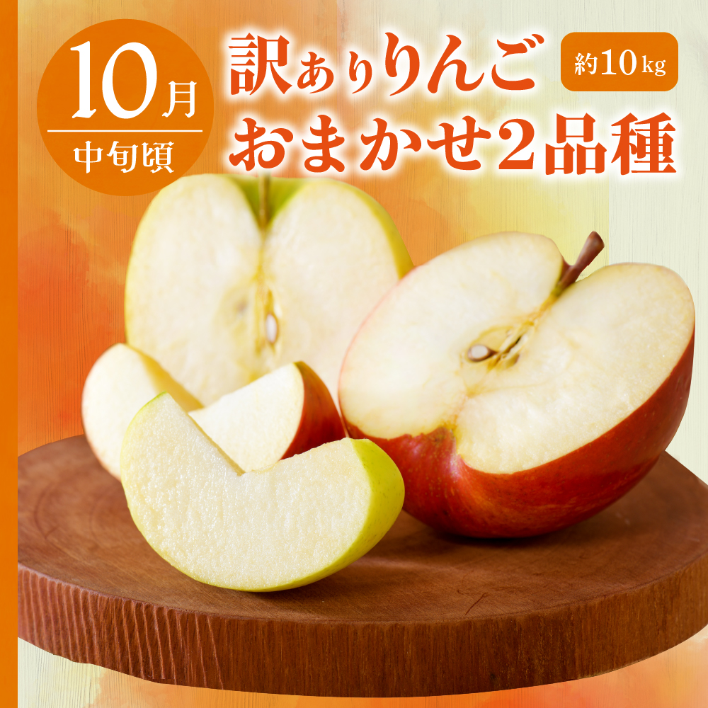 【2025年9月発送開始】 おいしい3種類☆フルーツ定期便【3回】（りんごづくし）りんご　訳ありセット