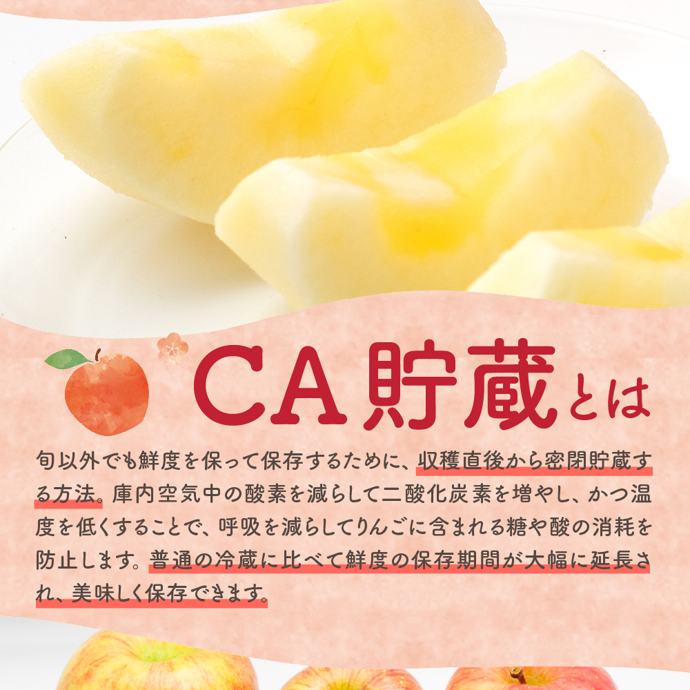 【2026年6月下旬発送】【訳あり】りんご有袋ふじ5kg(スマートフレッシュTM貯蔵又はCA貯蔵・クール便)