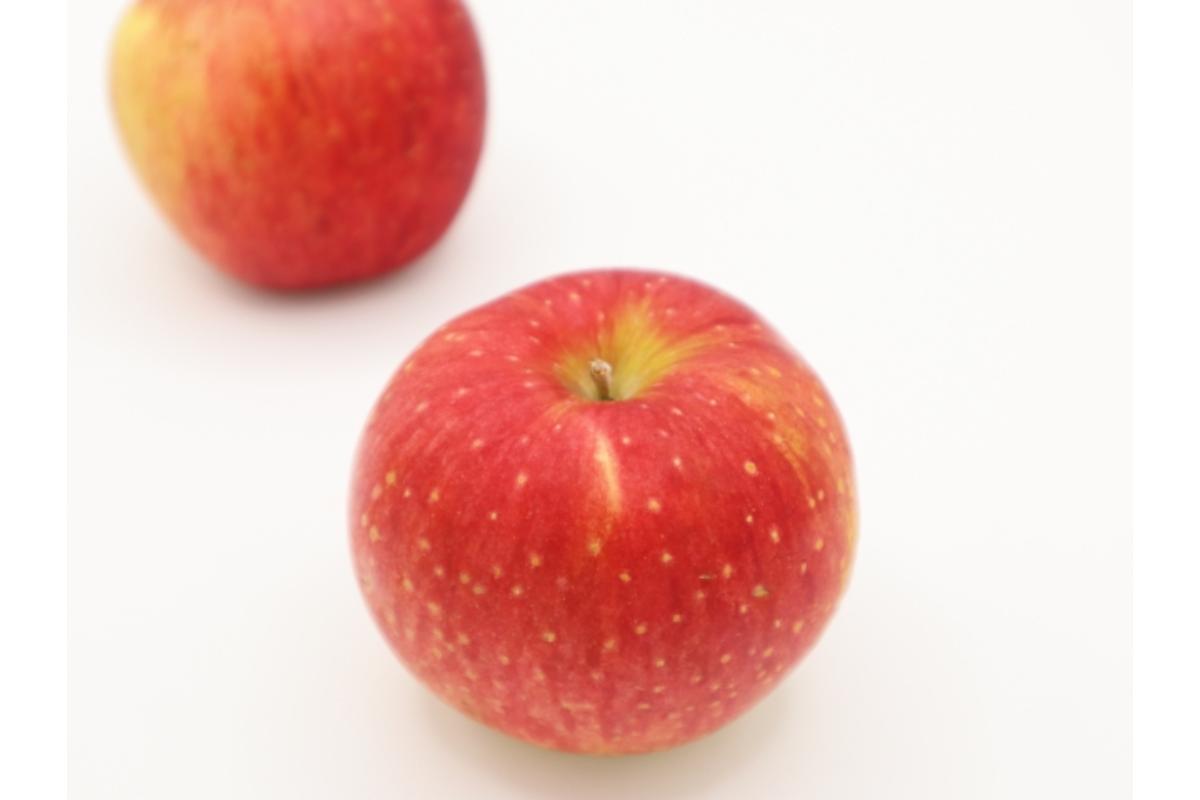 【2026年1月中旬発送】訳ありりんご約3kg（7～12個程度）|おまかせ品種|青森県五所川原市