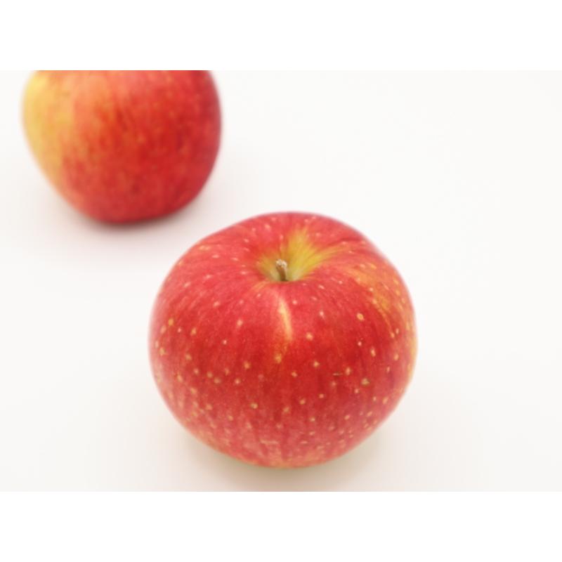 【2025年11月上旬発送】訳ありりんご約3kg（7～12個程度）|おまかせ品種|青森県五所川原市