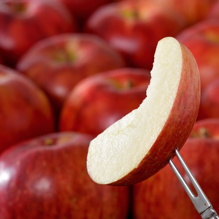 訳あり りんご 3kg 9月 サンつがる 青森【2025年 リンゴ 林檎 果物 クール便】