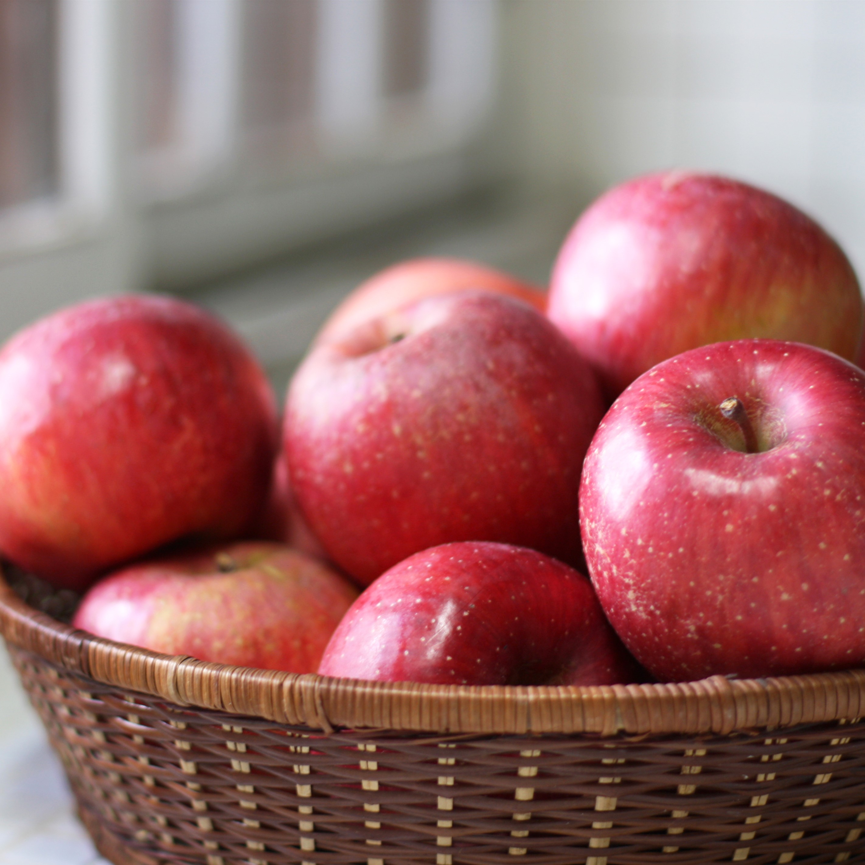 【2026年1月中旬発送】 【特選】 旬の美味しい りんご 約3kg 青森産 【おまかせ1品種】