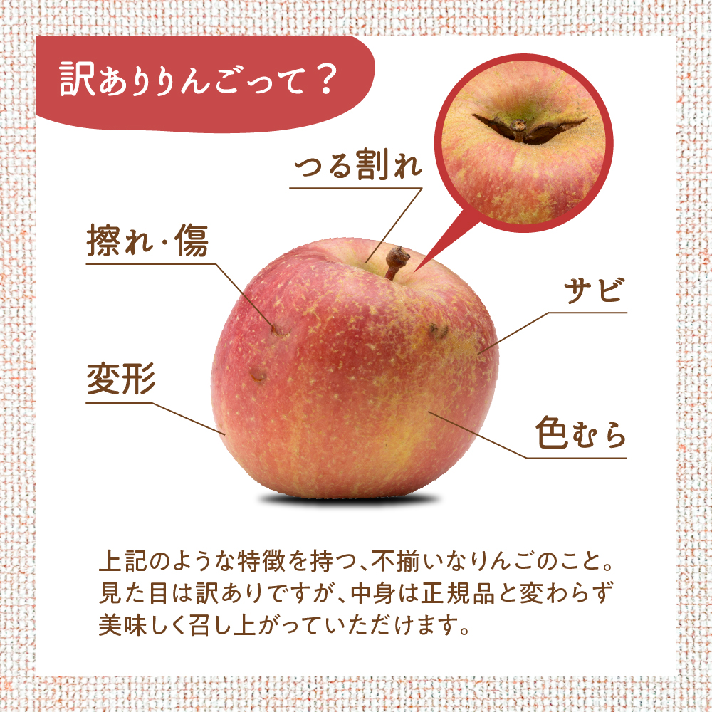 【2025年11月上旬発送】【訳あり】 りんご 5kg 紅玉 アップルパイ に最適 青森 不揃い