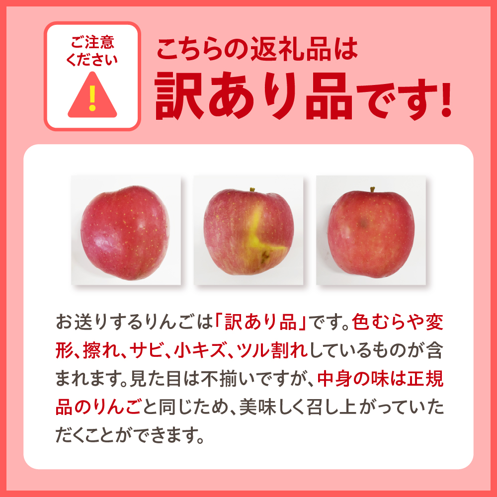 訳あり りんご5kg 程度【2026年2月後半発送】サンジョナゴールド 青森|不揃いリンゴ