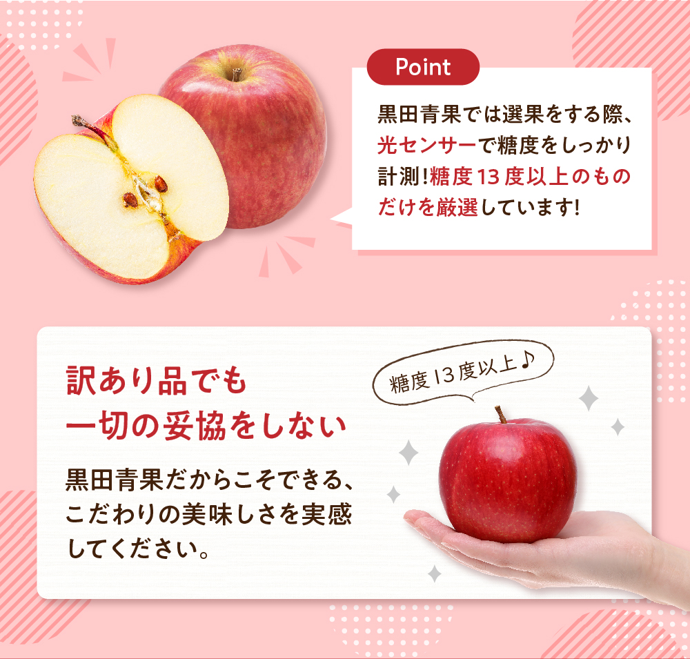 【先行受付】【2026年3月前半発送】【訳あり】 りんご 約5kg サンふじ 青森産