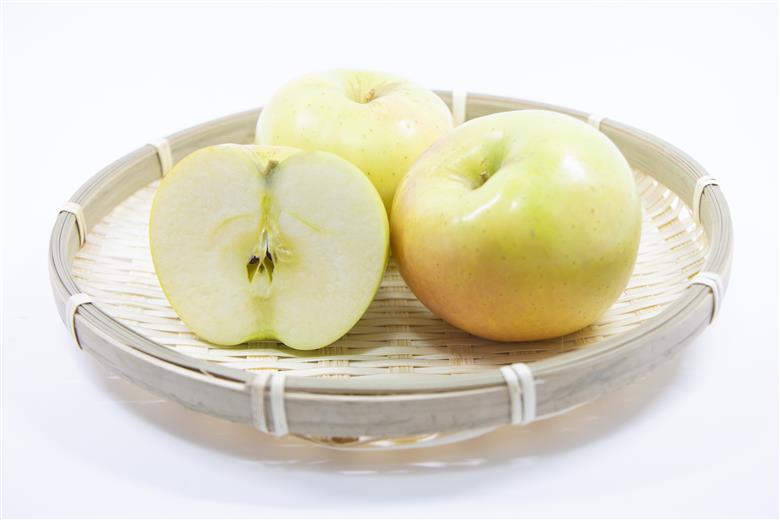 【2025年10月発送】【特選】 りんご 約5kg トキ〈樹上完熟〉 青森産