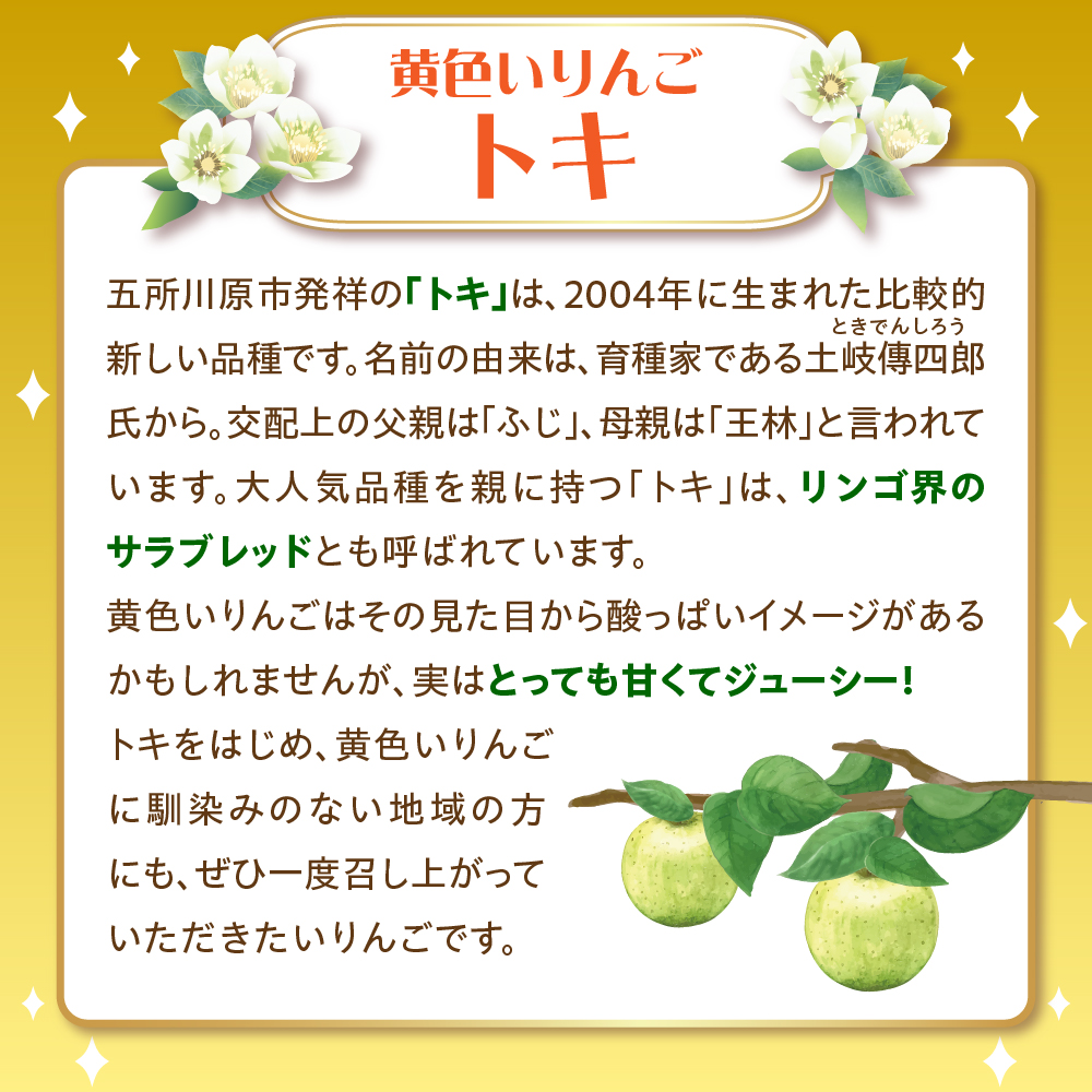 【2025年10月発送】【訳あり】 りんご 約3kg トキ〈樹上完熟〉 青森産