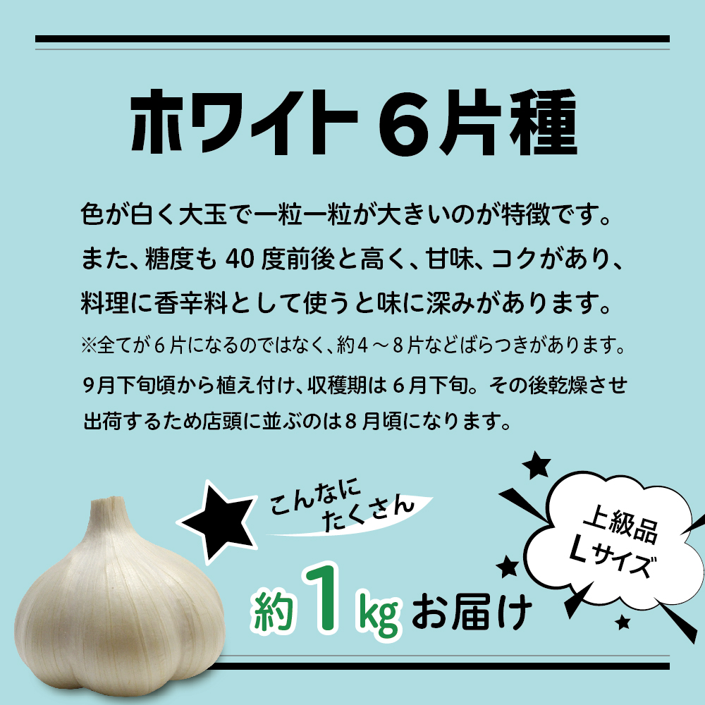 青森県産にんにく（上級品）Lサイズ1kg