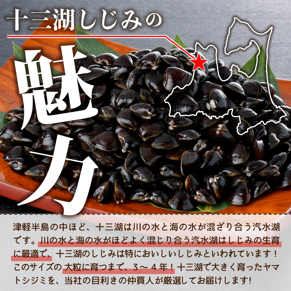 津軽十三湖産大粒しじみ1.6kg（冷凍・砂抜き済）