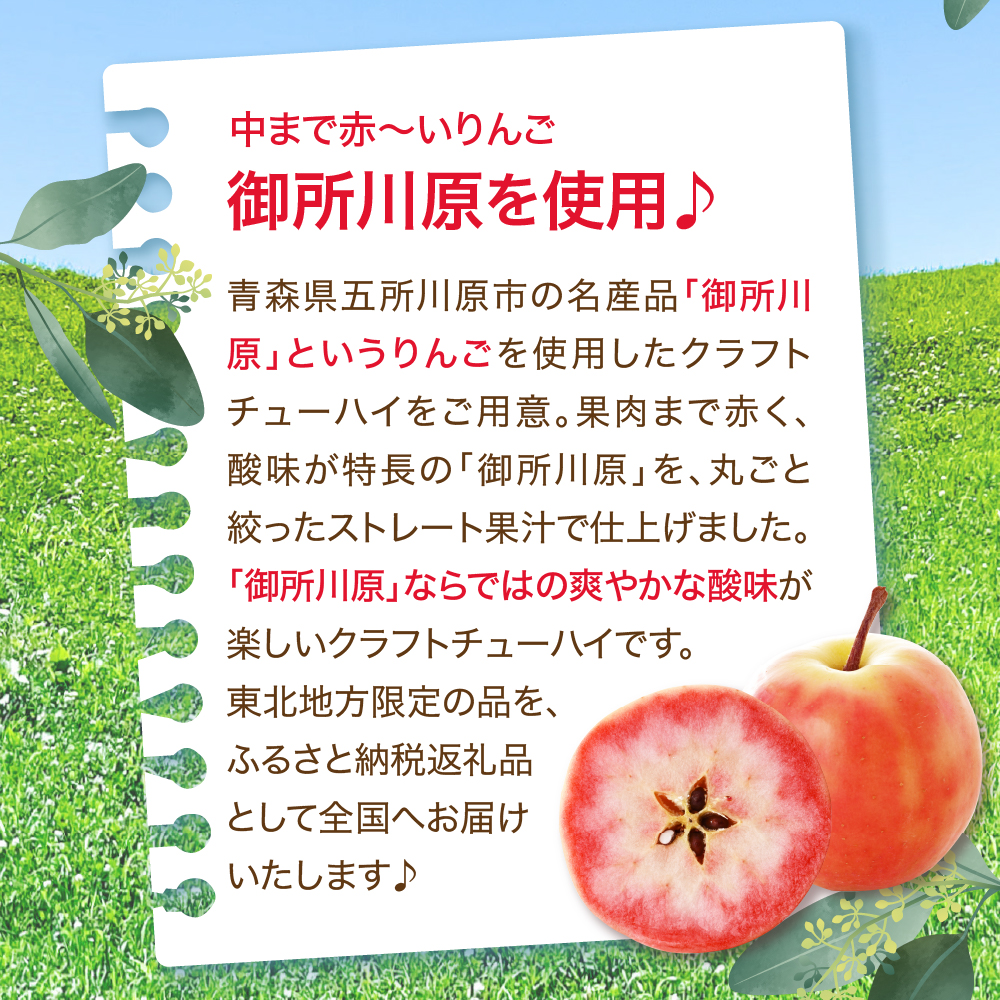 りんごチューハイ 8% 330ml×12本 地域限定 寶CRAFT＜青森中まで赤～いりんご＞【 酒 アルコール 宝酒造 りんごスピリッツ 酸味 とコク 辛口系 甘くない りんご の お酒 チューハイ 】 青森 五所川原 寶クラフト
