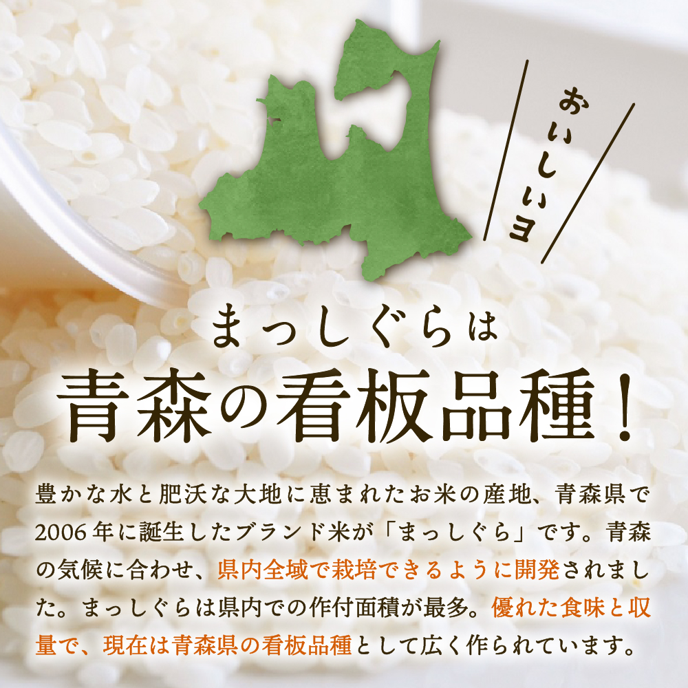 【1月発送】無洗米 10kg 青森県産 まっしぐら 令和7年産米(精米)
