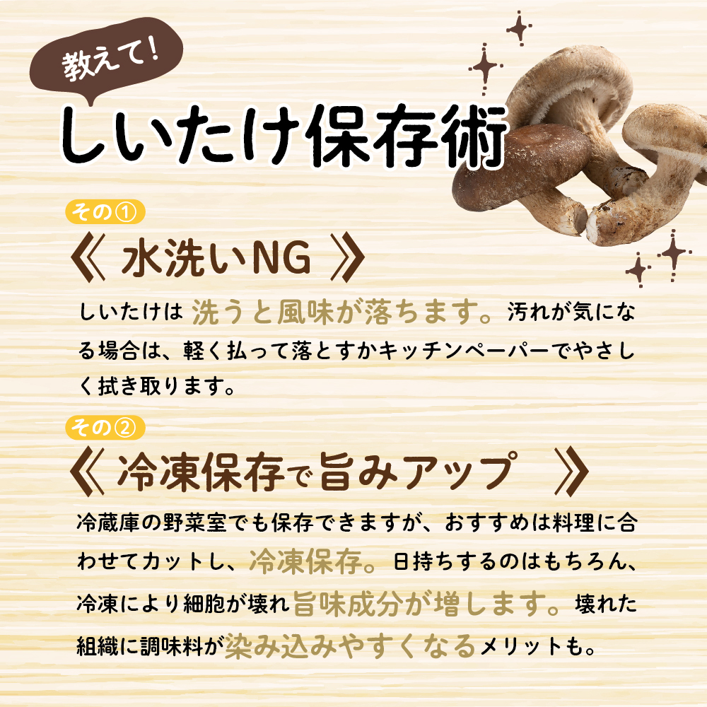 国産 肉厚 しいたけ 2kg 青森 きのこ