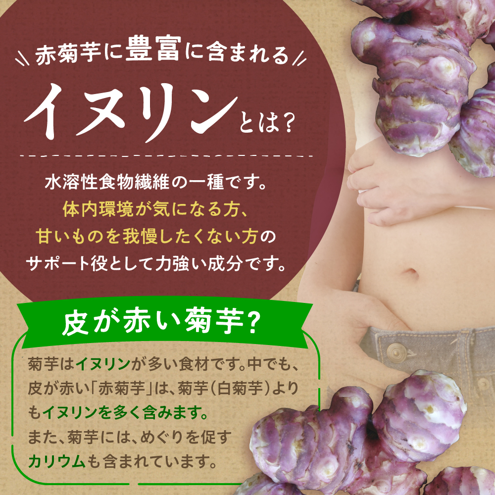 赤菊芋パウダー100g【赤菊芋きくいもキクイモ粉末】
