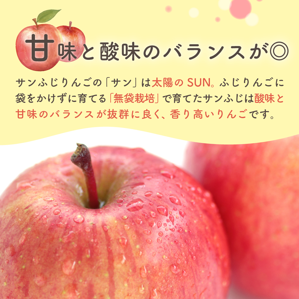 りんご　贈答用 【2026年2月上旬発送】 約 5kg サンふじ 五所川原 【 青森りんご サンふじりんご リンゴ 林檎 青森 贈答 】