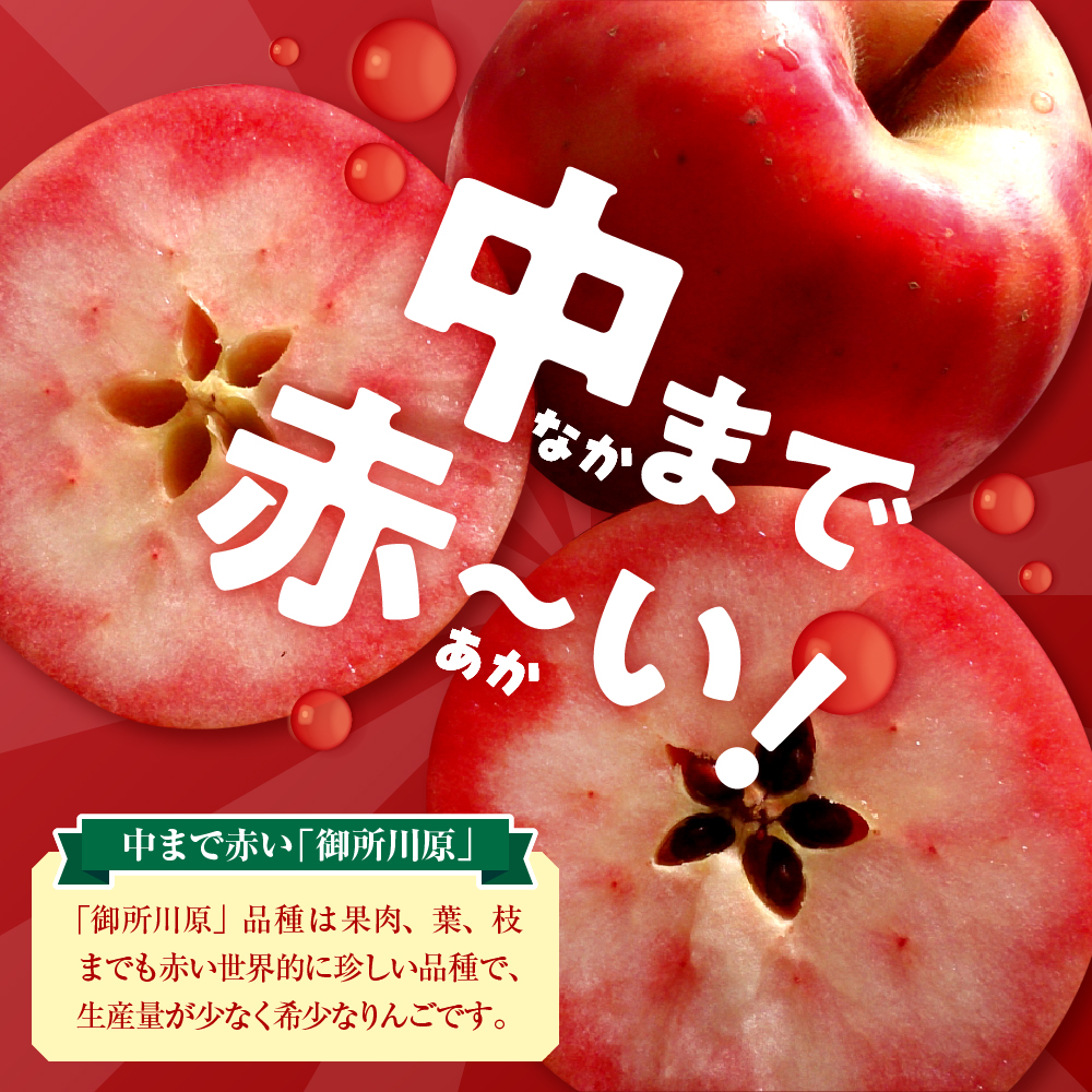 りんごジュース中まで赤～いりんごジュース1L×2本