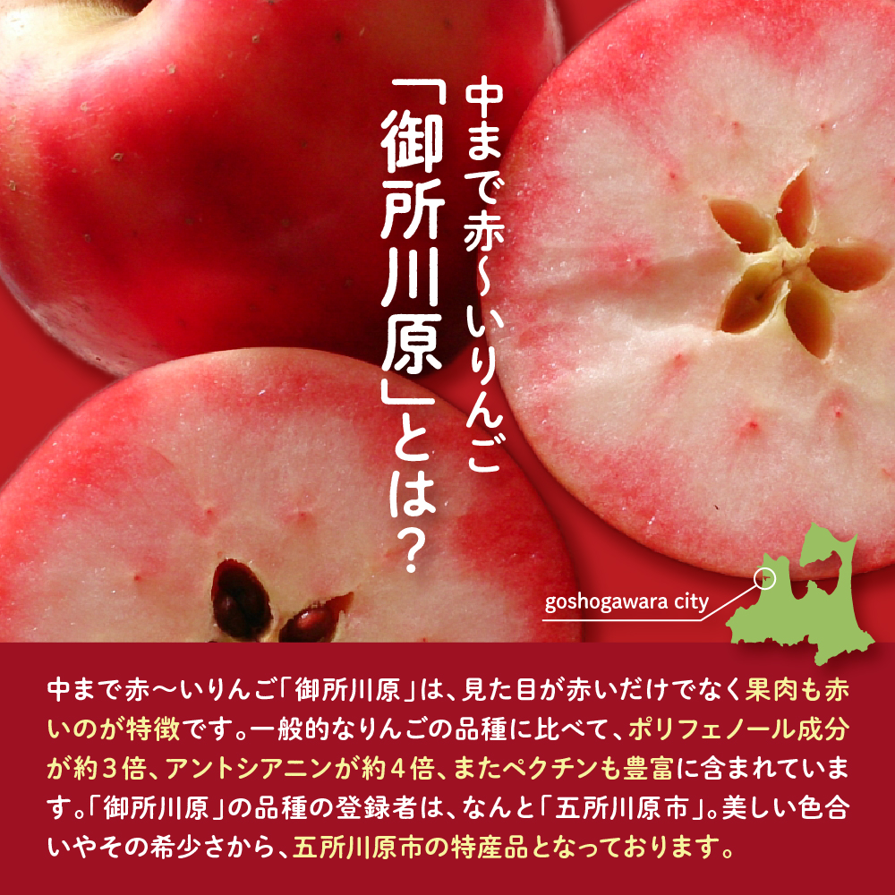 ジャムルージュエスペランス100g×2瓶（プロテオグリカン入り中まで赤～いりんごジャム）