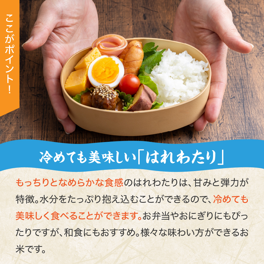 【令和7年産米】 青天の霹靂 と はれわたり 10kg (5kg×2) 2品種食べ比べ セット 青森県産 米 特別栽培米