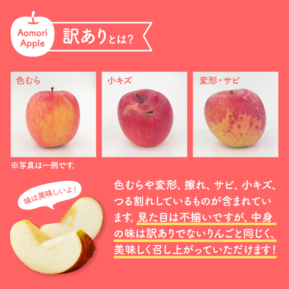 【2026年1月中旬発送】【訳あり】りんご約10kgサンふじ青森産