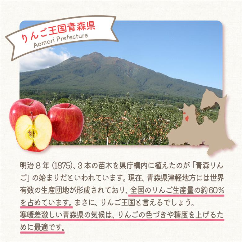 サンふじ 贈答規格 約10kg 【2025年12月下旬発送】「たちねぷたりんご」 青森県 五所川原市