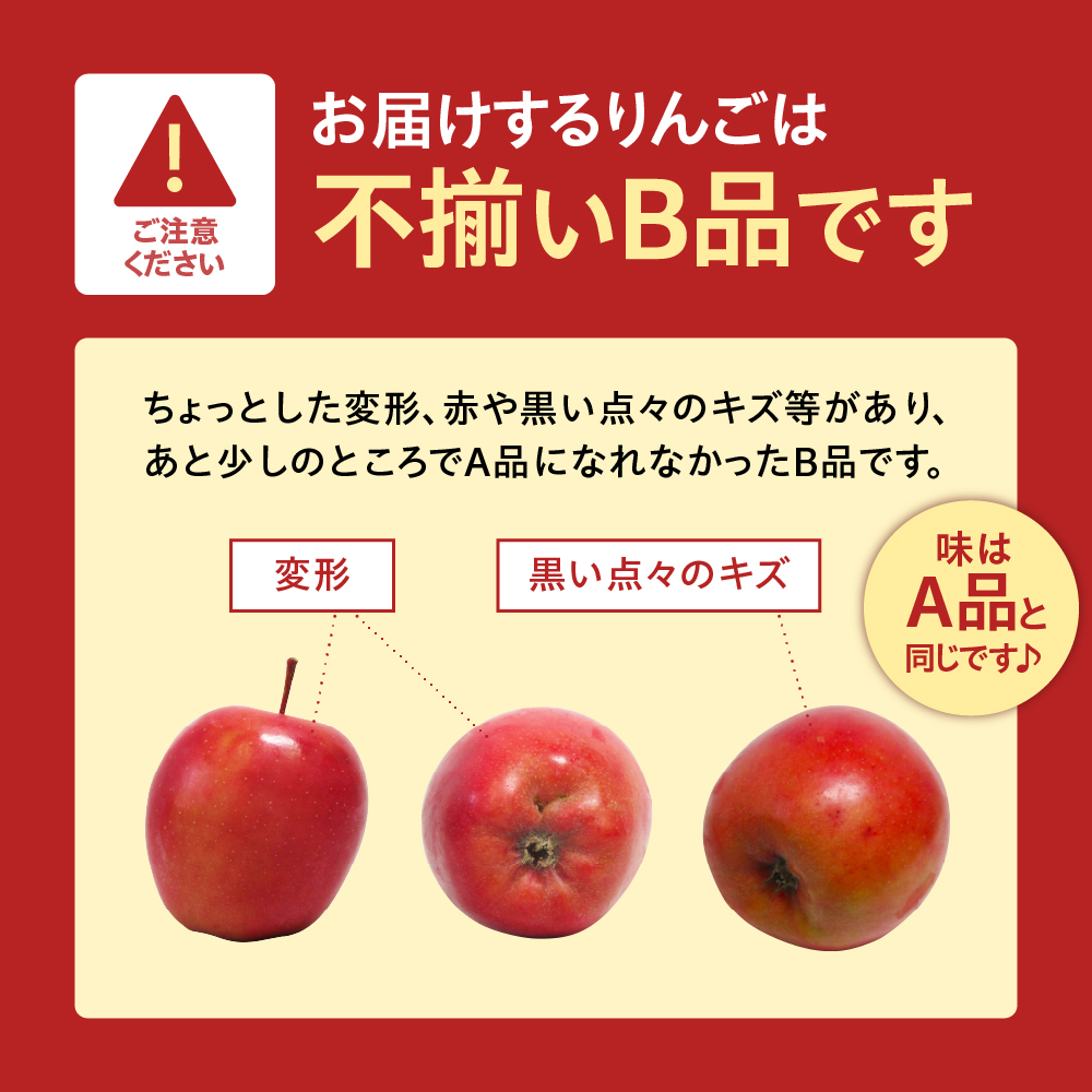 【ANA限定】中まで赤～いりんご<栄紅>【2025年12月下旬発送】 葉とらずりんご 訳あり 約2.5kg 不揃い B品 家庭用 青森県 五所川原市 りんご リンゴ