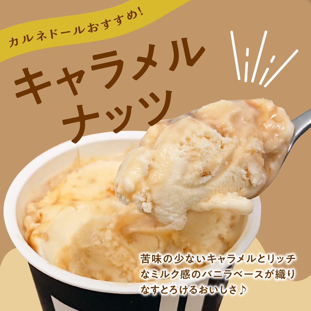 アイス　洋菓子店自慢のお手製アイス 100ml×10個入(7種) ）(バニラ 抹茶 キャラメル ミルクティー いちご 小倉 フランボワーズ)【 お菓子 スイーツ アイス アイスクリーム ラクトアイス 詰め合わせ セット 詰合せ あいす あいすくりーむ 】