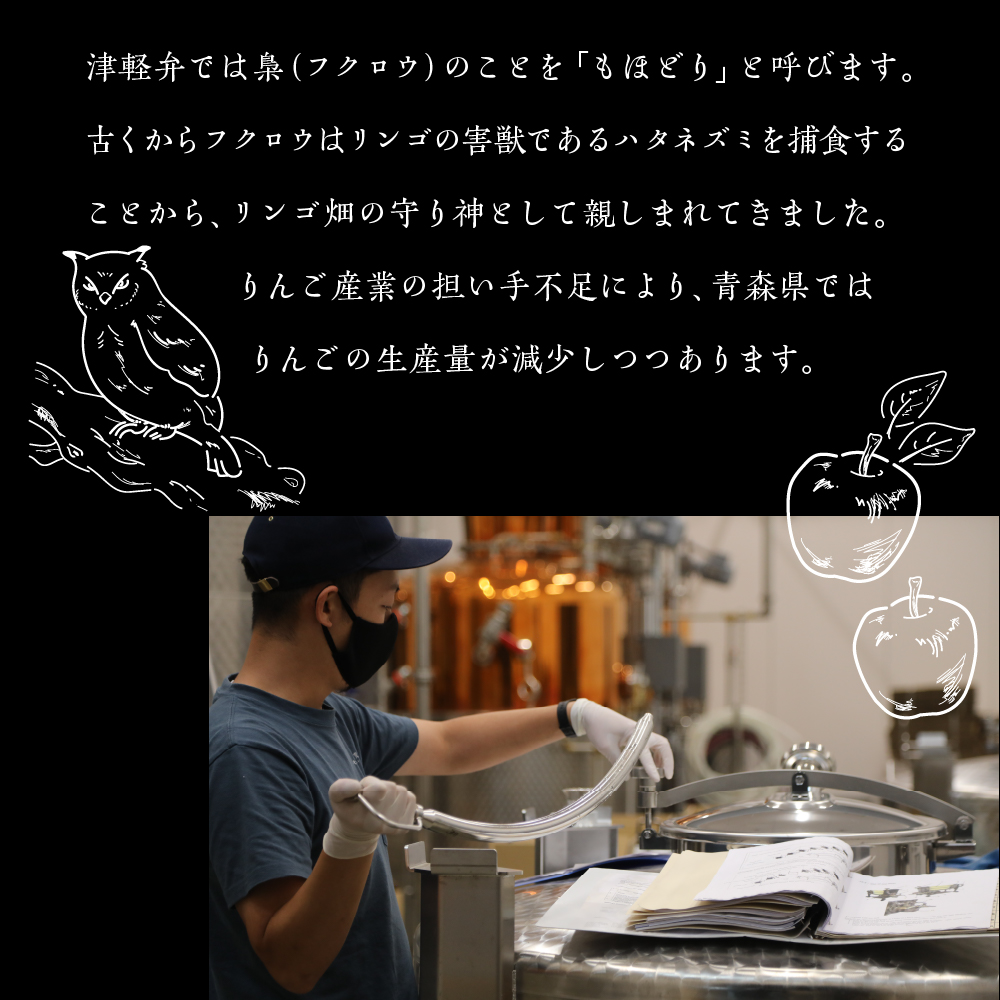 梅酒 アップルブランデー 仕込み 250ml 19% LOVEVADOS梅酒  【青森りんご100％使用のアップルブランデー ウメシュ ブランデー梅酒 林檎 梅 酒 完熟梅 うめしゅ 】