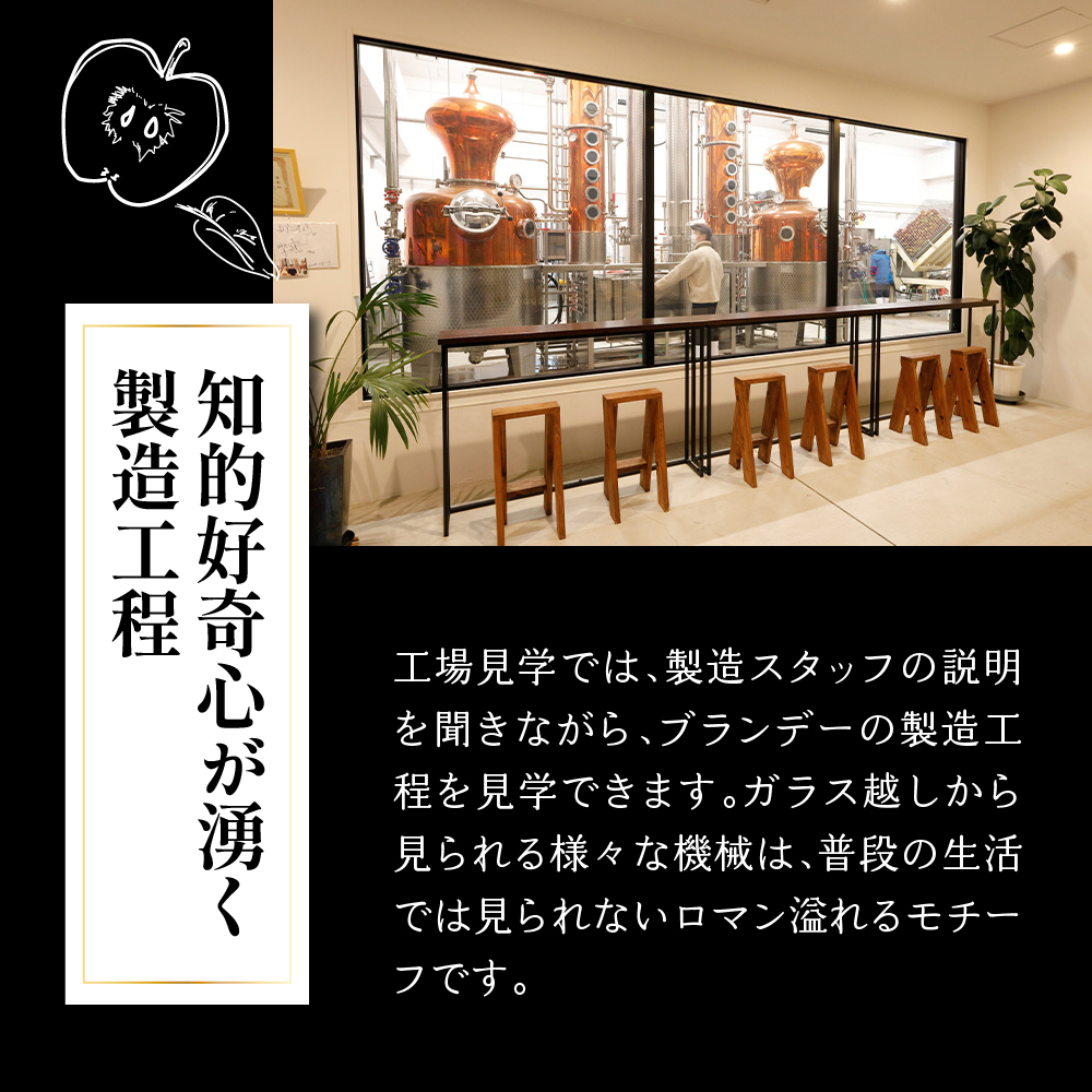 アップルブランデー 醸造所見学 1名 《モホドリ蒸溜研究所》 【試飲・お土産付】 見学ツアー りんご 酒 工場見学 体験 ブランデー 旅行 観光 青森県 五所川原市