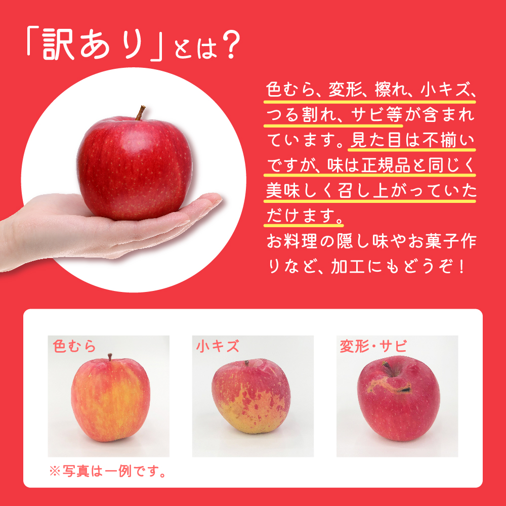 【2026年1月後半発送】 訳あり りんご サンふじ 約 10kg 青森 果物 【 訳アリ リンゴ 林檎 ふじ さんふじ 】