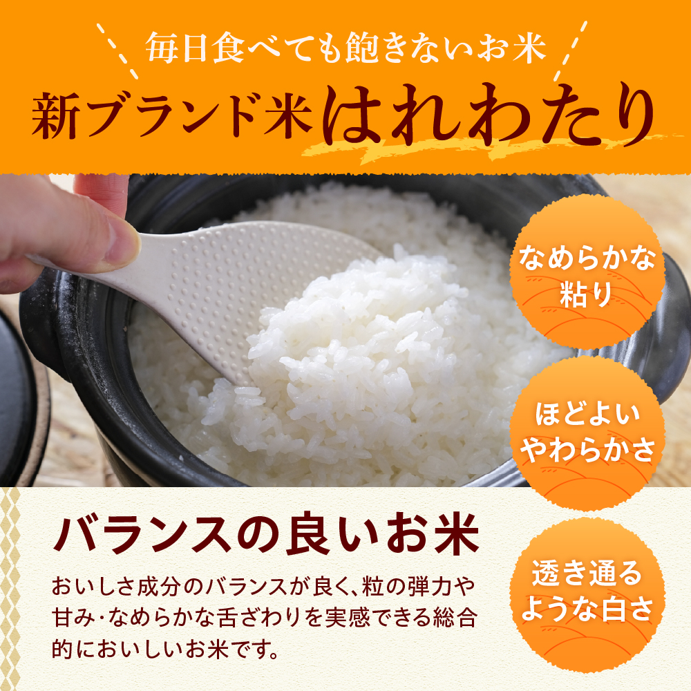 【先行受付】【2025年10月下旬以降発送】自然乾燥米 はれわたり 2kg 七和自然乾燥米 精米 令和7年産米 【 産地直送 白米 お米 こめ コメ ご飯 ハレワタリ 青森米 五所川原 自然乾燥 米 】