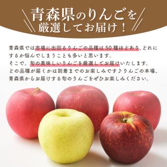 【2026年11月下旬発送】 【訳あり】 旬の美味しい りんご 約10kg 青森産 【おまかせ2品種】