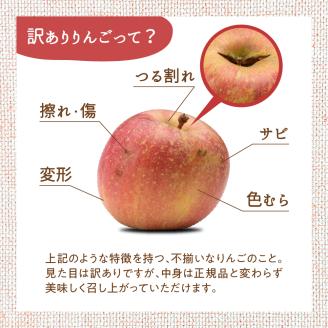 【2025年11月上旬発送】【訳あり】 りんご 10kg 紅玉 アップルパイ に最適 青森 不揃い