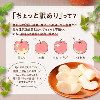 【2025年12月後半発送】 【ちょっと訳あり】 りんご 約10kg サンふじ 青森産