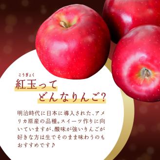 【2025年12月上旬発送】 【特選】りんご 5kg 紅玉 青森