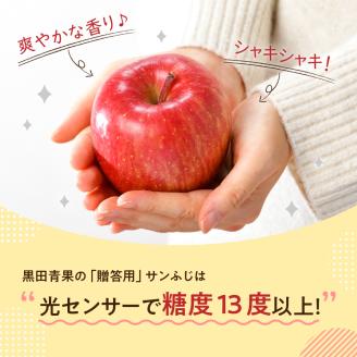 【2027年1月後半発送】 りんご 約10kg サンふじ 青森産 糖度 13度以上　贈答用 特選～特秀