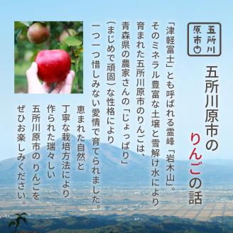 【2026年12月前半発送】 りんご 青森産 約5kg サンふじ 確約 品種おまかせ2種以上 贈答用 特選～特秀