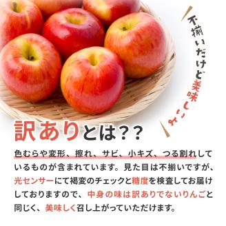 【2026年2月後半発送】【訳あり】青森県産 葉とらず サンふじ りんご 約5kg