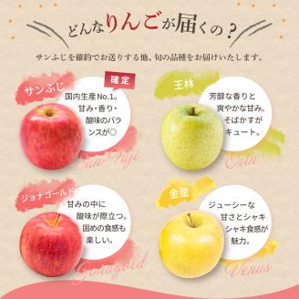 【2026年3月後半発送】 【訳あり】 りんご 約10kg サンふじ確約 青森産 品種おまかせ2種以上