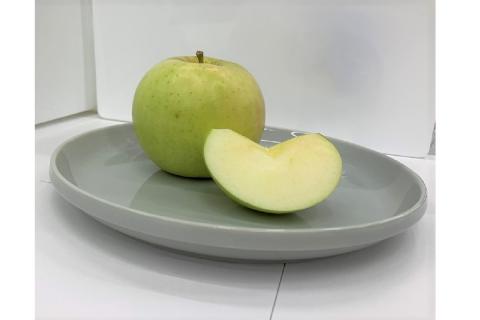 【2025年10月前半発送】訳あり トキ 約5kg