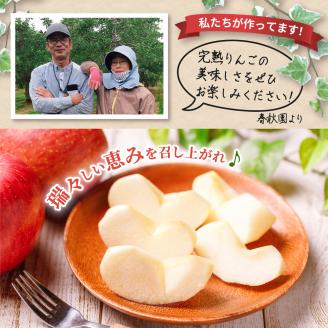 【2025年10月上旬発送】訳あり 早生ふじ 5kg