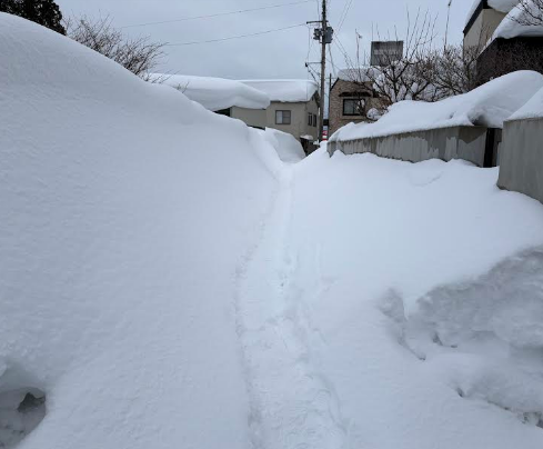 五所川原市令和8年1月青森地方大雪災害支援【返礼品なし】