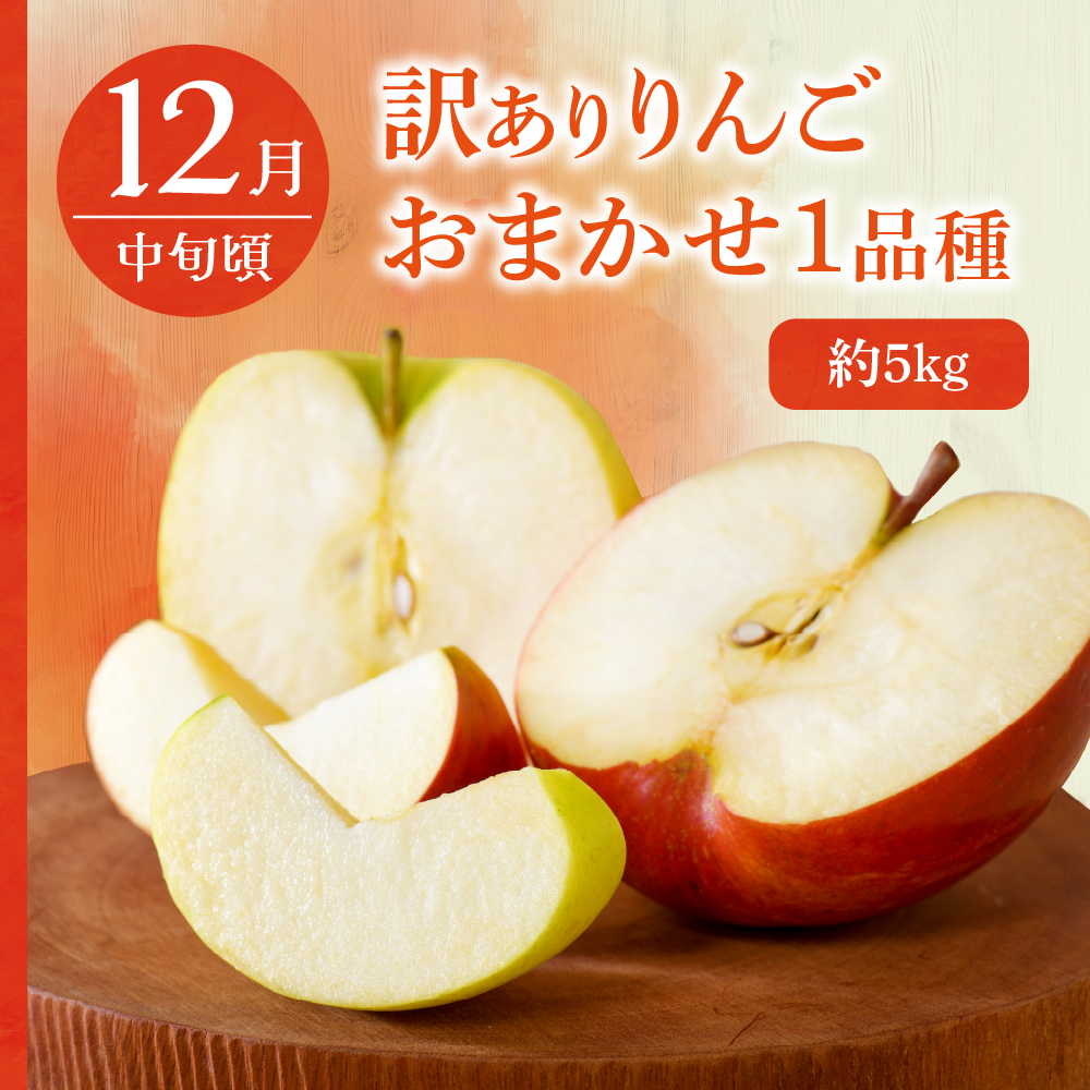 【7月発送開始】おいしい3種類 ☆ フルーツ定期便 3回【訳あり】メロン ぶどう りんご