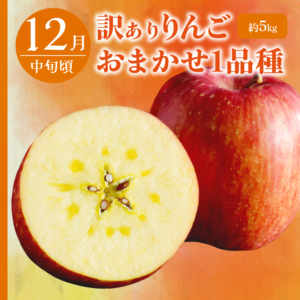 【2025年9月発送開始】 おいしい3種類☆フルーツ定期便【3回】（りんごづくし）りんご　訳ありセット