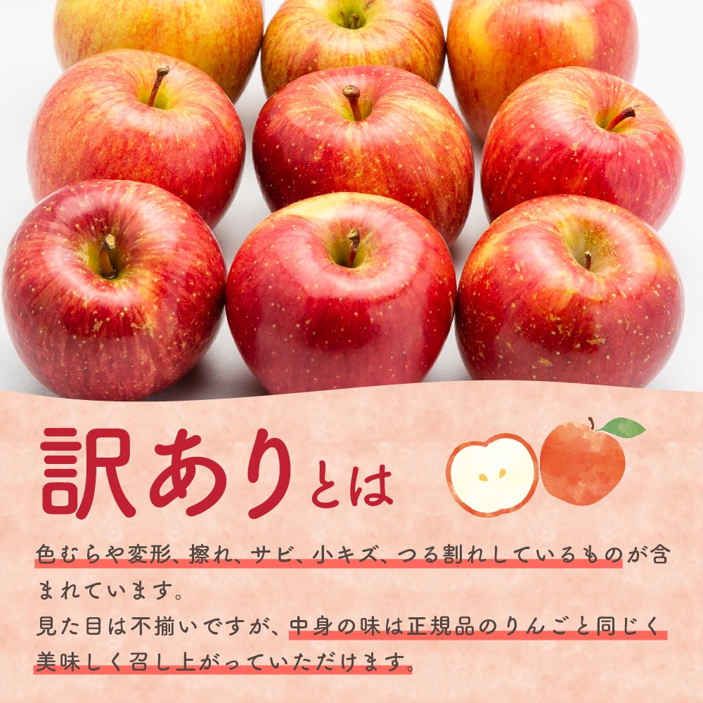 【2026年6月下旬発送】【訳あり】りんご有袋ふじ5kg(スマートフレッシュTM貯蔵又はCA貯蔵・クール便)
