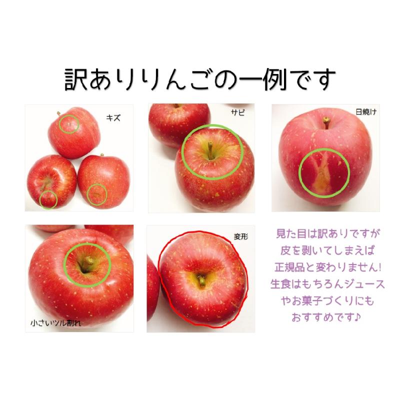 【2025年9月下旬発送】訳ありりんご約3kg（7～12個程度）|おまかせ品種|青森県五所川原市